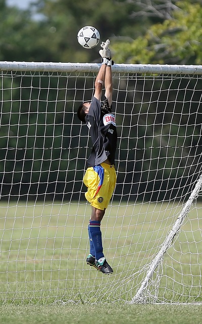 Nesta