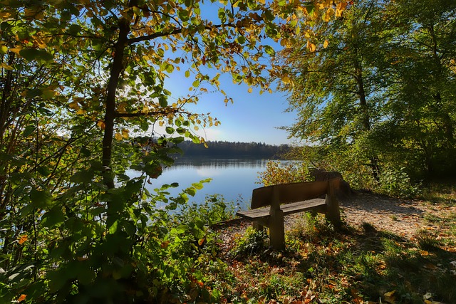 快船126-113胜尼克斯，球员表现精彩：5人满分，4人及格.