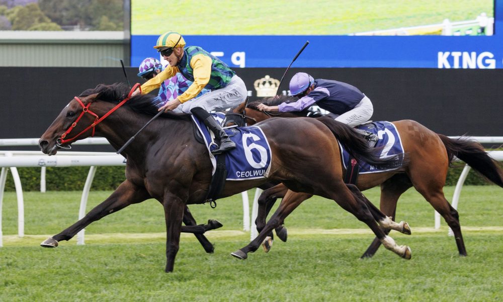 两次总决赛 两次总决赛