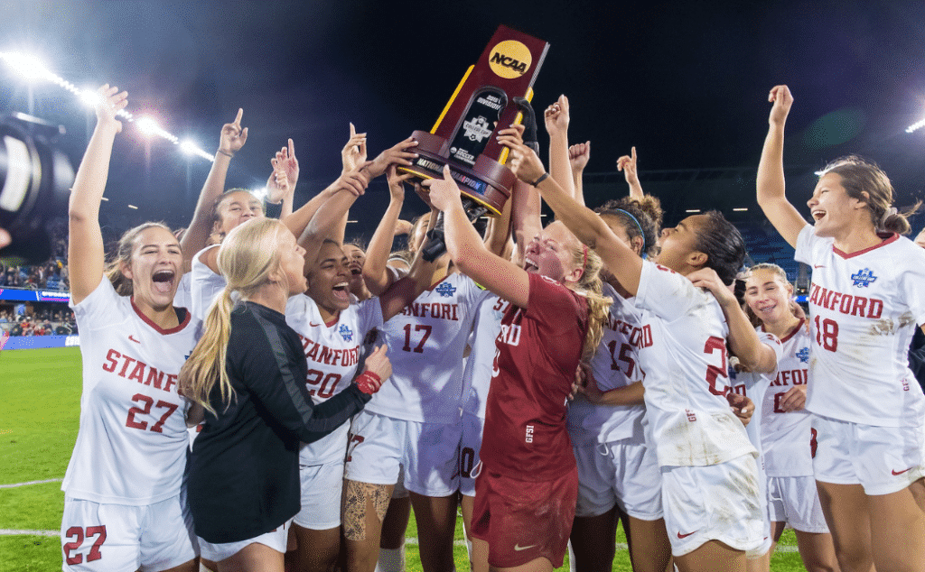 显示了他们 显示了他们